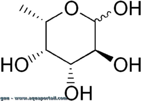 Fucose .